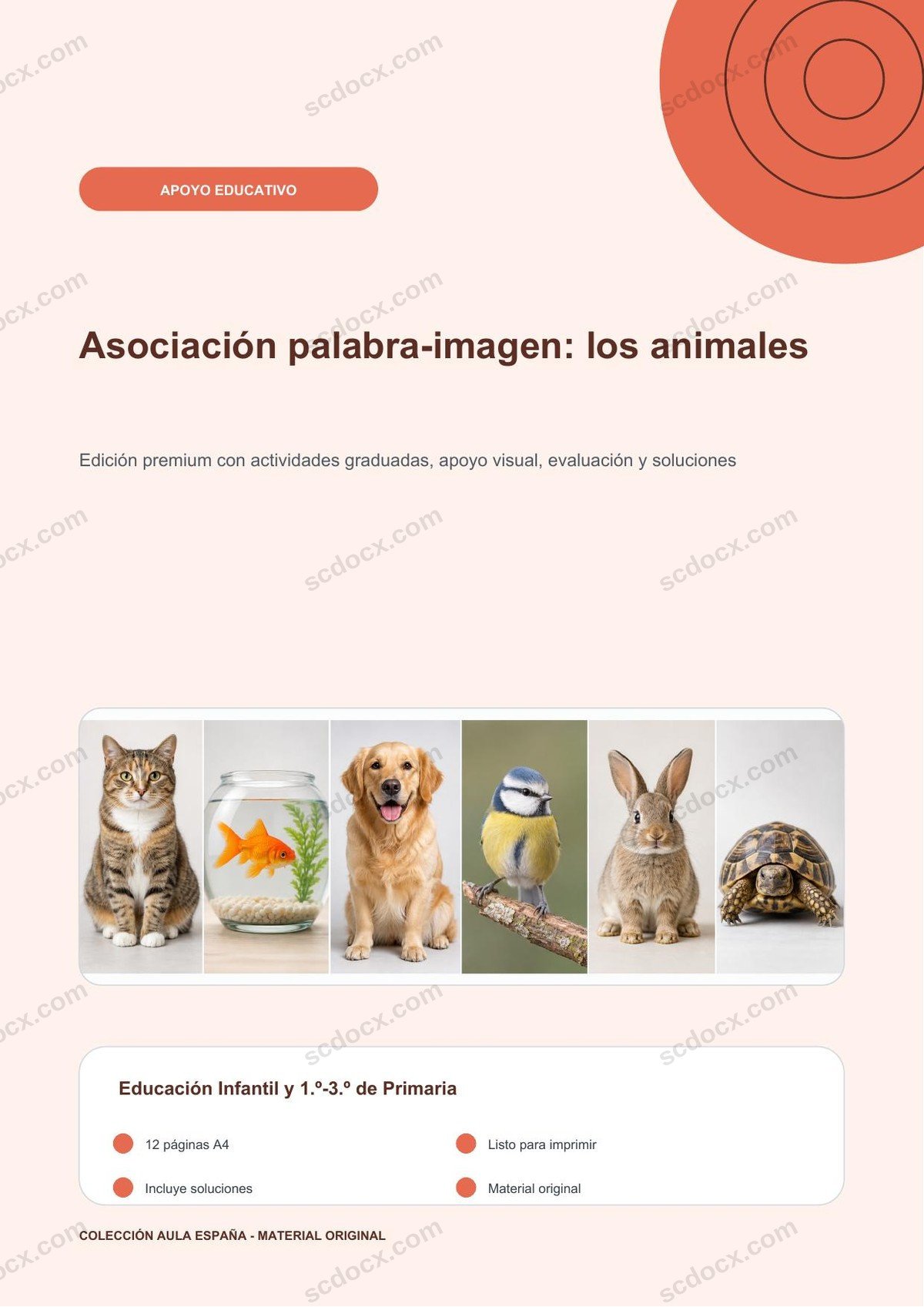 Asociación palabra-imagen: los animales