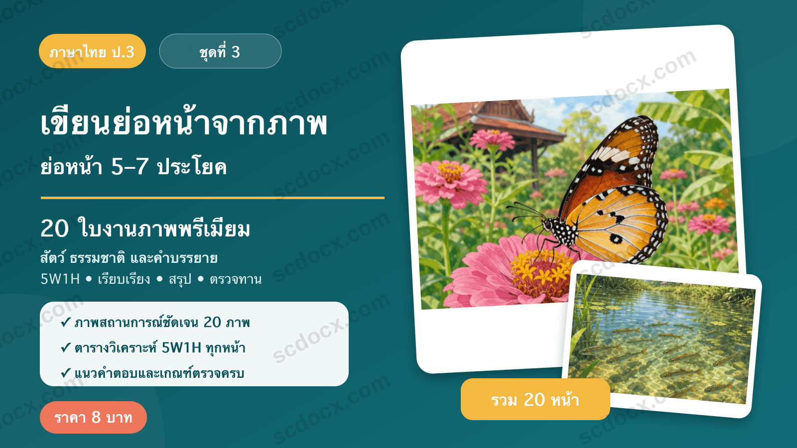 เขียนย่อหน้าจากภาพ ป.3 ชุดที่ 3 — ธรรมชาติและสิ่งแวดล้อม 20 ใบงาน พร้อมแนวคำตอบ