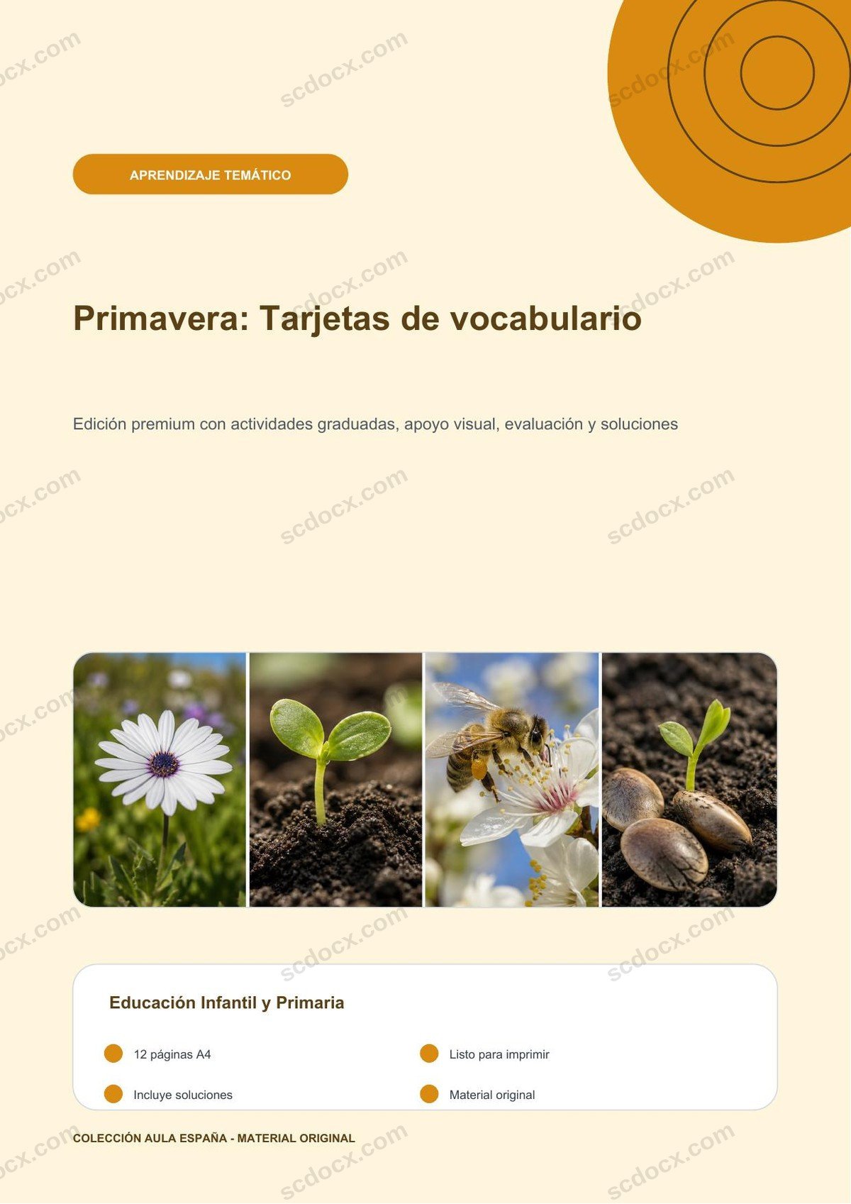 Primavera: Tarjetas de vocabulario