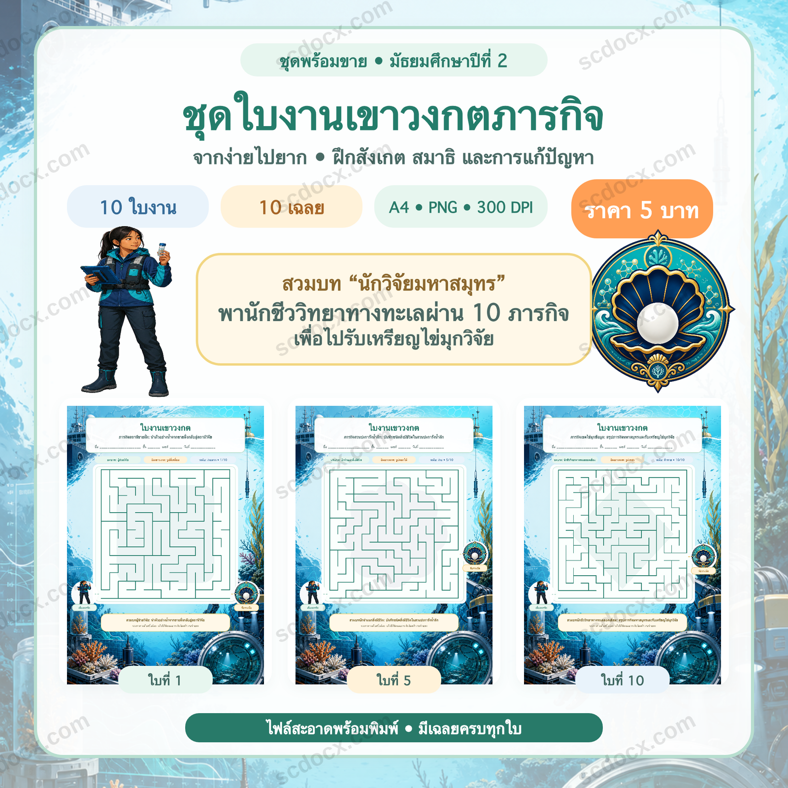 ชุดใบงานเขาวงกตภารกิจ มัธยมศึกษาปีที่ 2