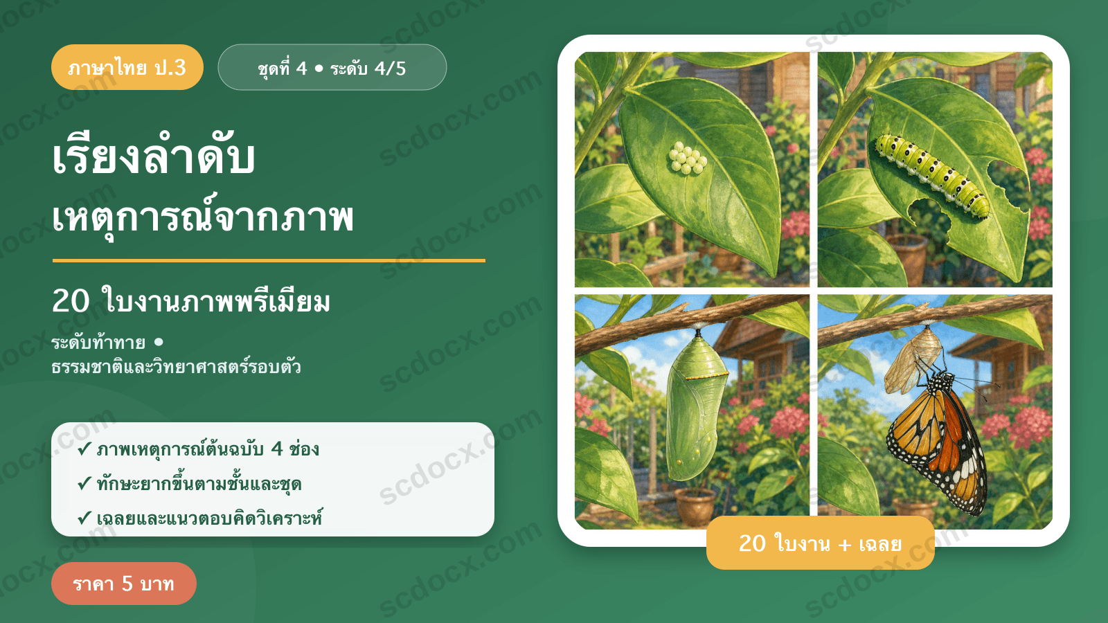 เรียงลำดับเหตุการณ์จากภาพ ป.3 ชุดที่ 4 (ระดับท้าทาย) — ธรรมชาติและวิทยาศาสตร์รอบตัว 20 ใบงาน พร้อมเฉลย