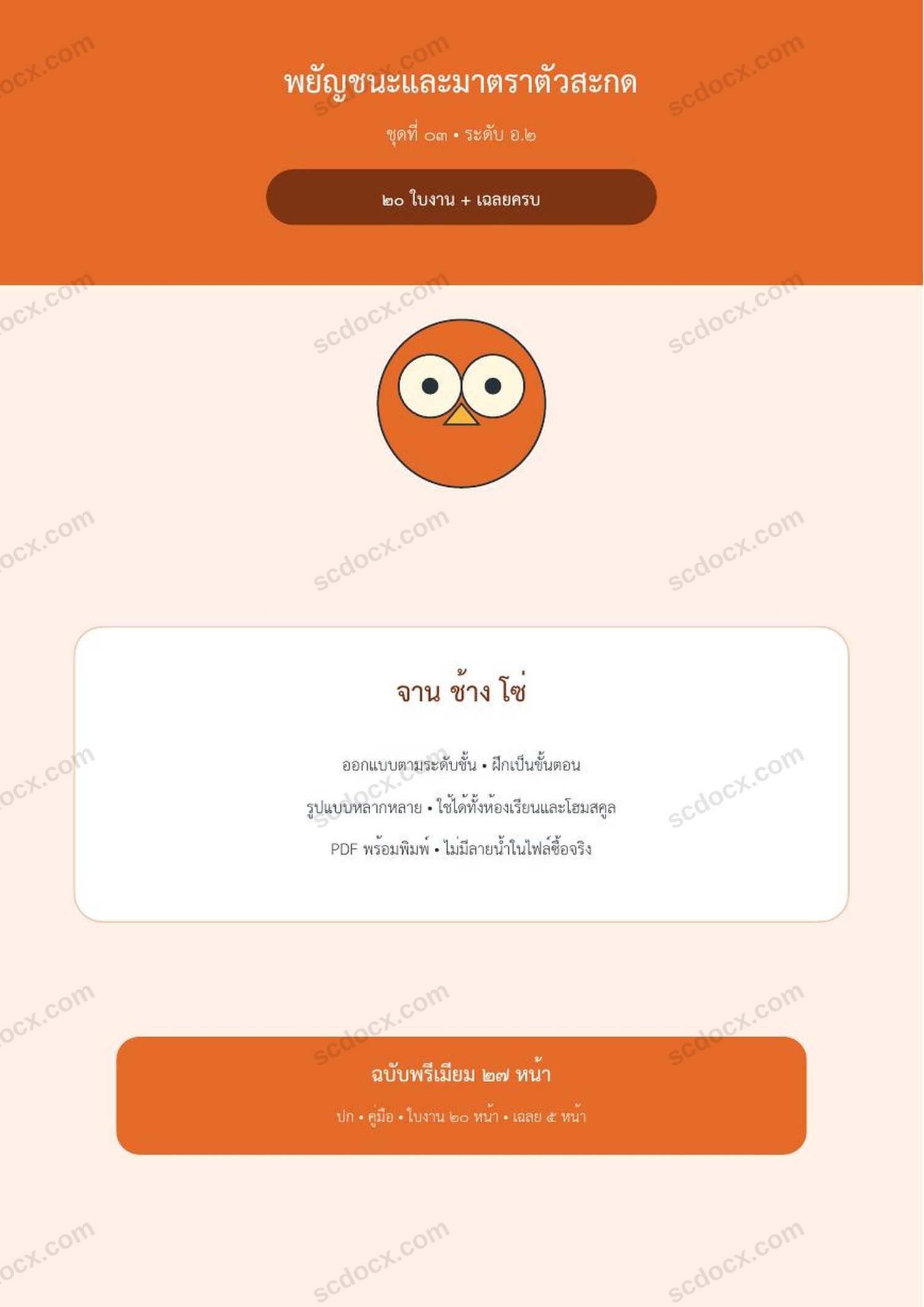 พยัญชนะและมาตราตัวสะกด อ.2 | จาน ช้าง โซ่ | 20 ใบงาน + เฉลยครบ