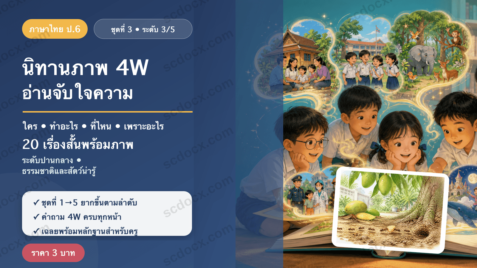 นิทานภาพ 4W อ่านจับใจความ ป.6 ชุดที่ 3 (ระดับปานกลาง) — ธรรมชาติและสัตว์น่ารู้ 20 เรื่อง พร้อมเฉลย