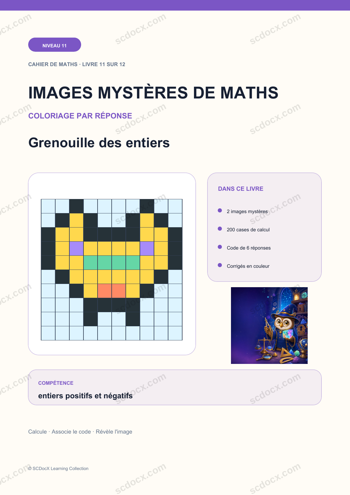 Image mystère de maths Niveau 11 | Grenouille des entiers avec corrigé