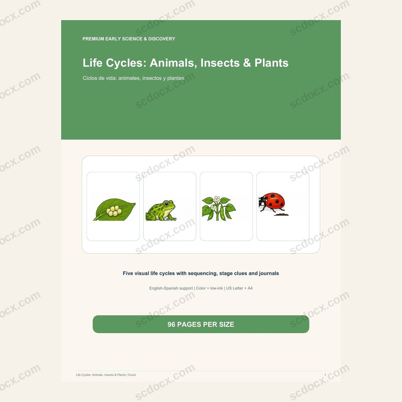 Bilingual Life Cycles: Animals, Insects & Plants | วงจรชีวิต 96 หน้า