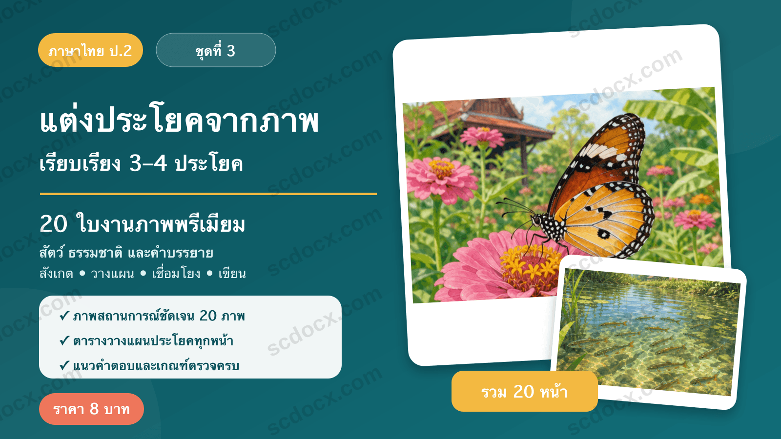 แต่งประโยคจากภาพ ป.2 ชุดที่ 3 — สัตว์ ธรรมชาติ และคำบรรยาย 20 ใบงาน พร้อมแนวคำตอบ