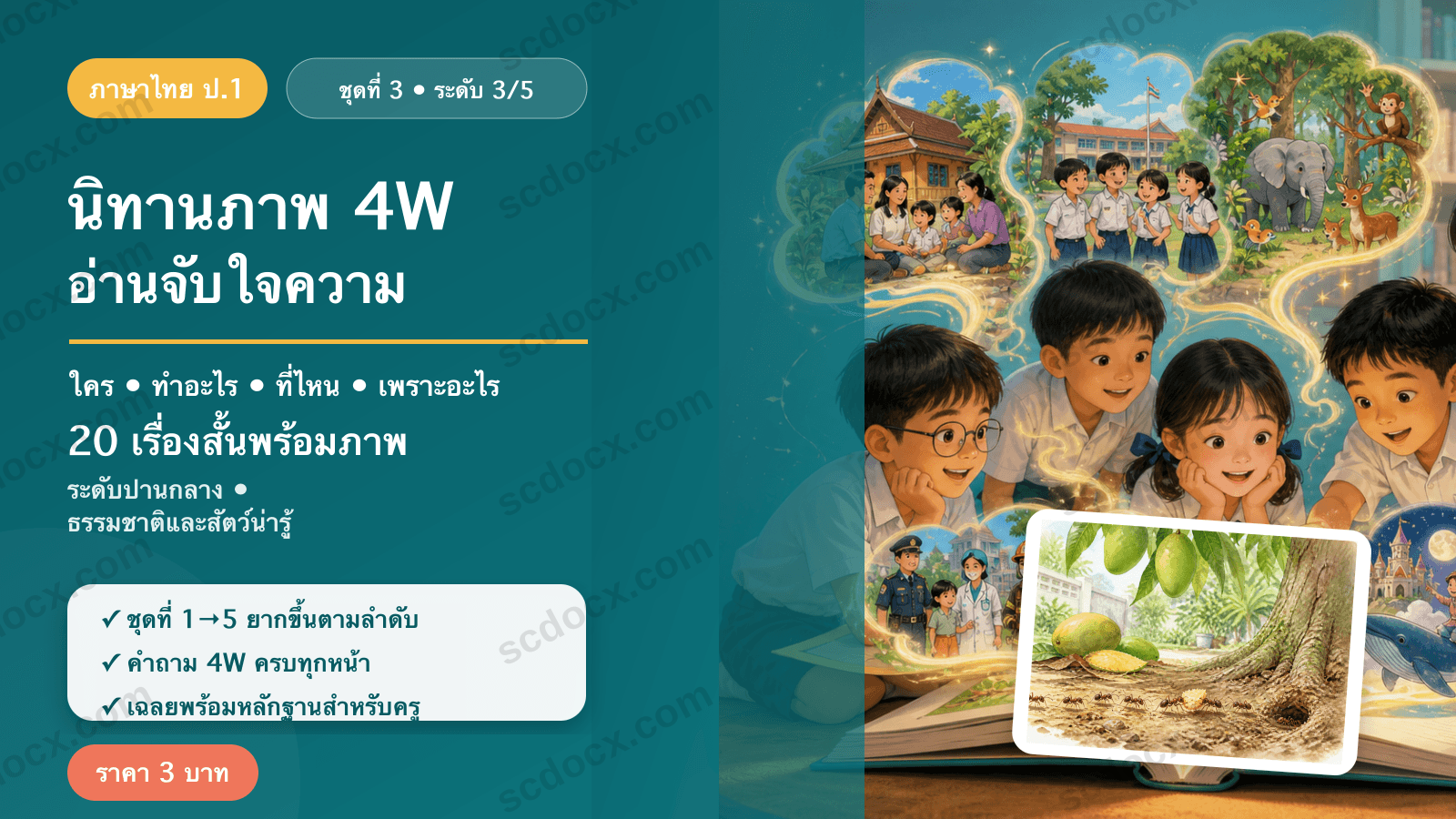 นิทานภาพ 4W อ่านจับใจความ ป.1 ชุดที่ 3 (ระดับปานกลาง) — ธรรมชาติและสัตว์น่ารู้ 20 เรื่อง พร้อมเฉลย