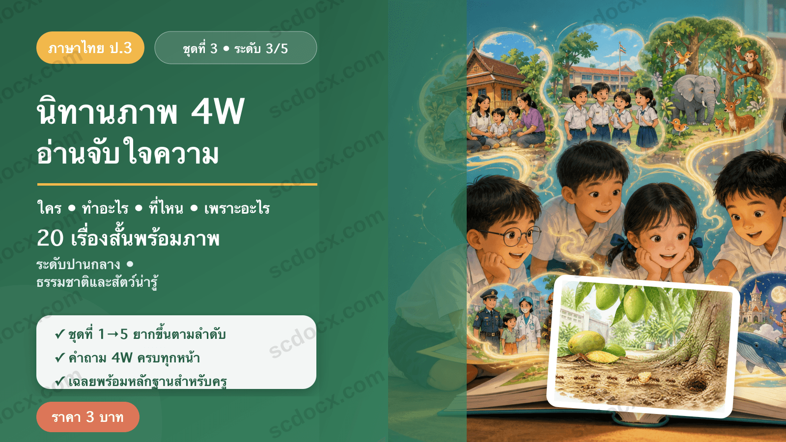 นิทานภาพ 4W อ่านจับใจความ ป.3 ชุดที่ 3 (ระดับปานกลาง) — ธรรมชาติและสัตว์น่ารู้ 20 เรื่อง พร้อมเฉลย