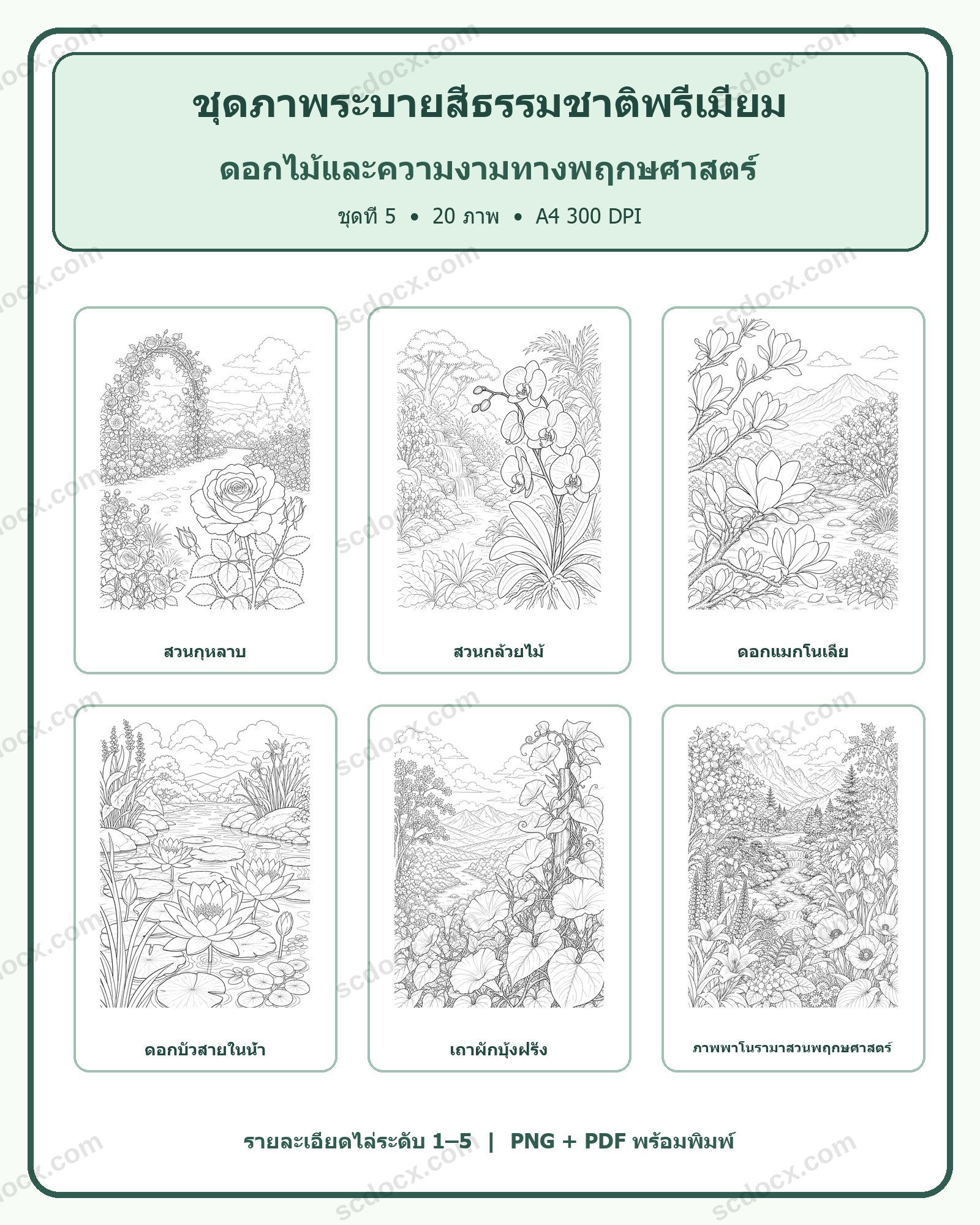 ชุดภาพระบายสีธรรมชาติพรีเมียม ชุดที่ 5: ดอกไม้และความงามทางพฤกษศาสตร์ (20 ภาพ)