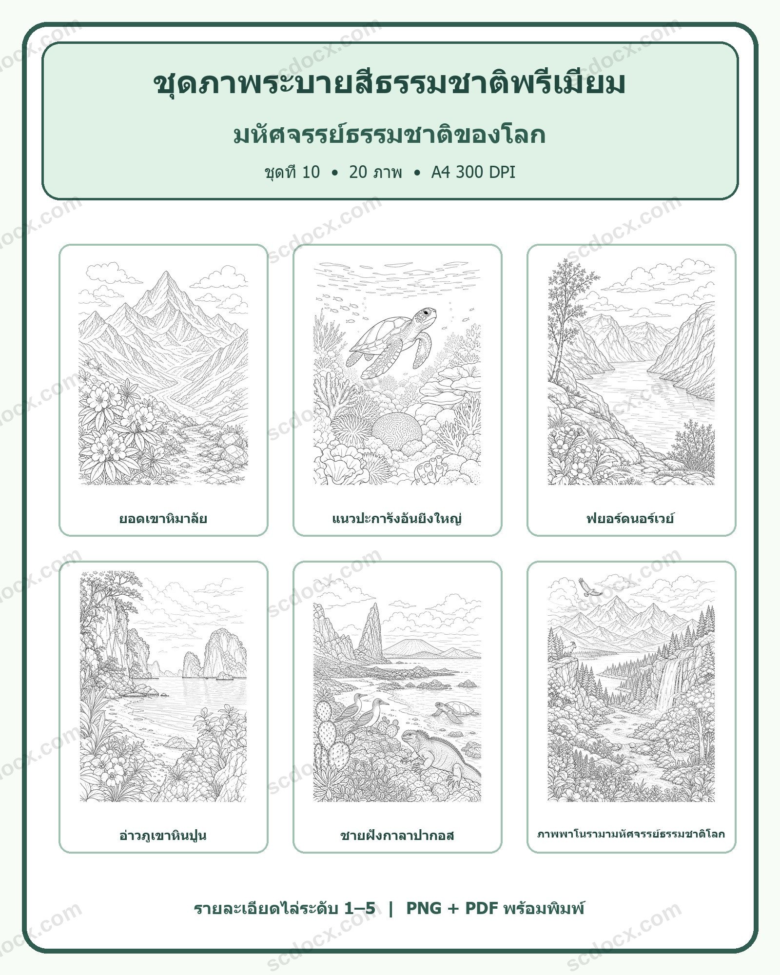 ชุดภาพระบายสีธรรมชาติพรีเมียม ชุดที่ 10: มหัศจรรย์ธรรมชาติของโลก (20 ภาพ)