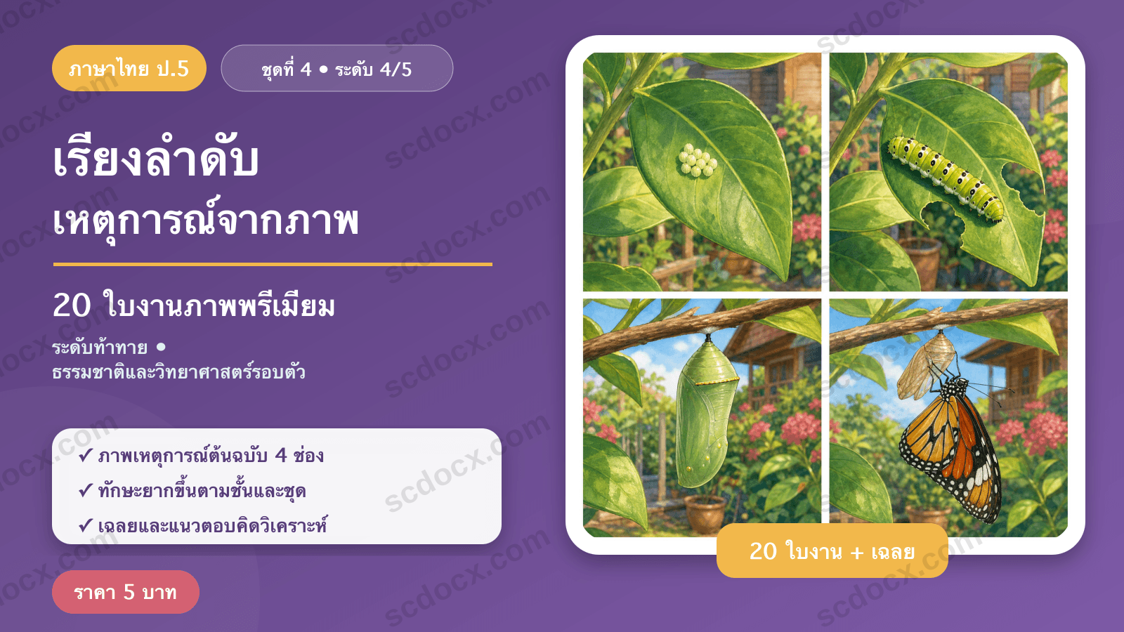 เรียงลำดับเหตุการณ์จากภาพ ป.5 ชุดที่ 4 (ระดับท้าทาย) — ธรรมชาติและวิทยาศาสตร์รอบตัว 20 ใบงาน พร้อมเฉลย