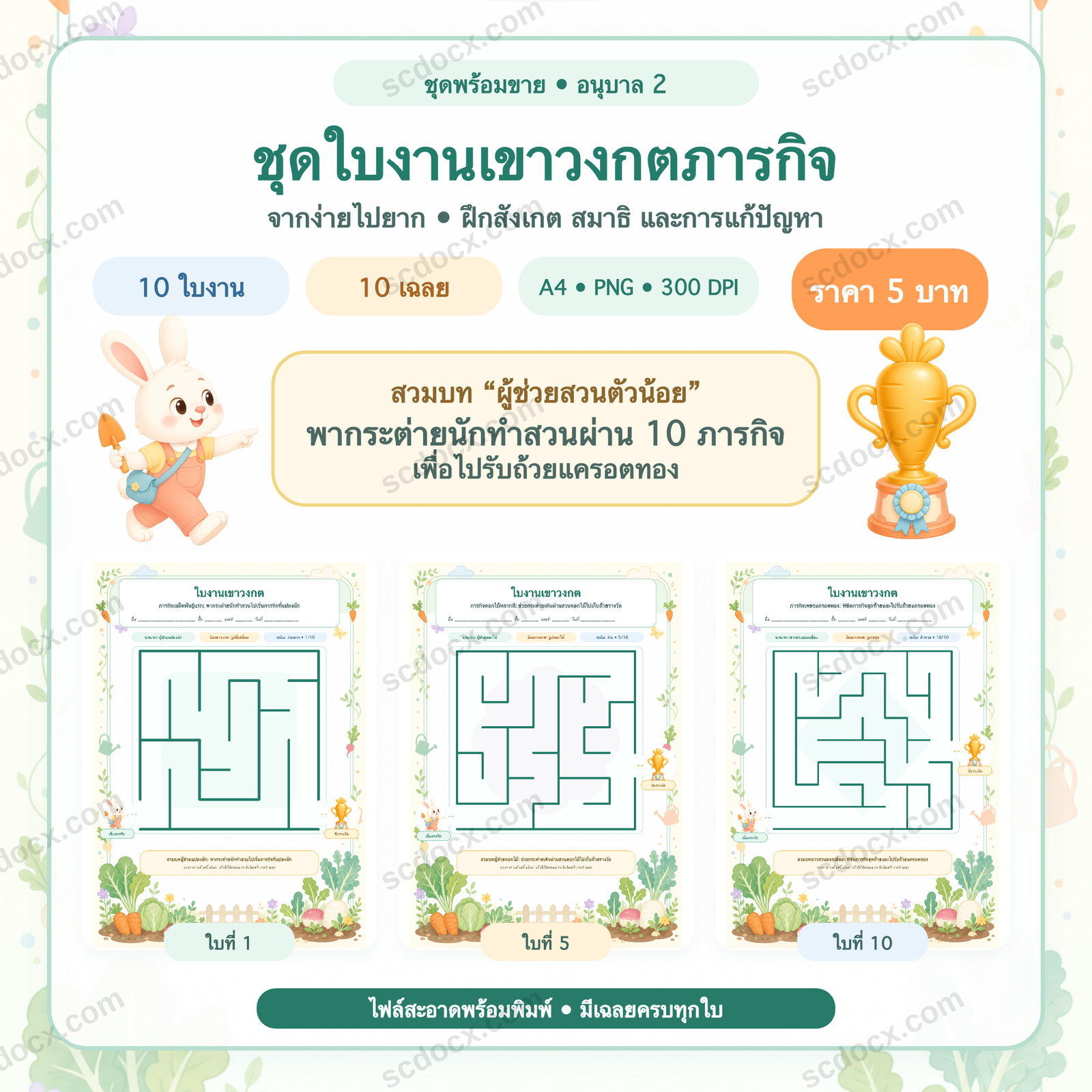 ชุดใบงานเขาวงกตภารกิจ อนุบาล 2