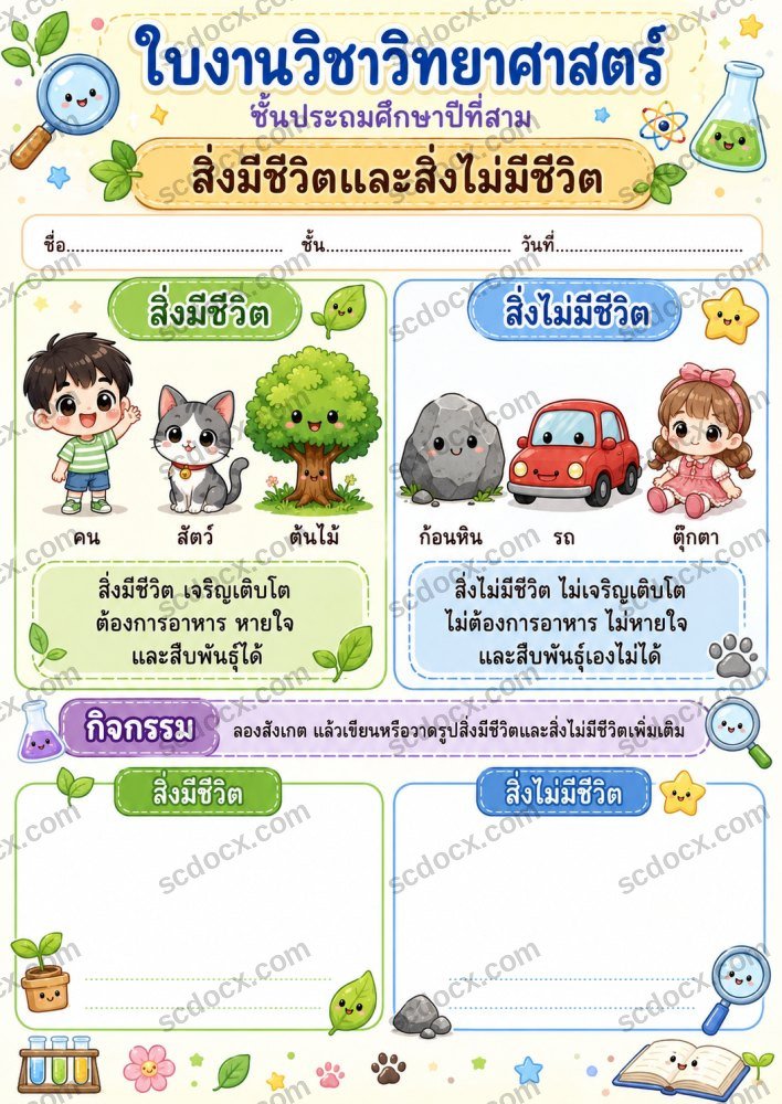 ใบงานใบกิจกรรมวิชาวิทยาศาสตร์ ป.3 (10ใบ) ชุดที่ 1