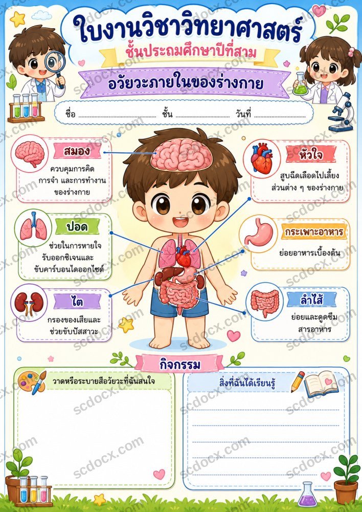 ใบงานใบกิจกรรมวิชาวิทยาศาสตร์ ป.3 (10ใบ) ชุดที่ 4