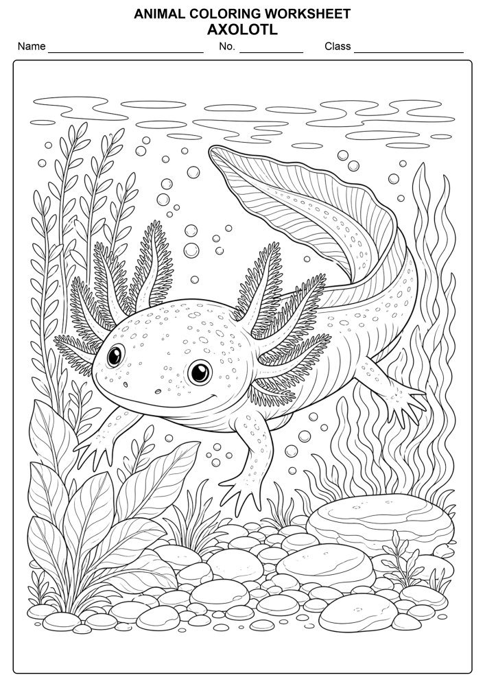 Free Animal Coloring Worksheet 46 - Axolotl